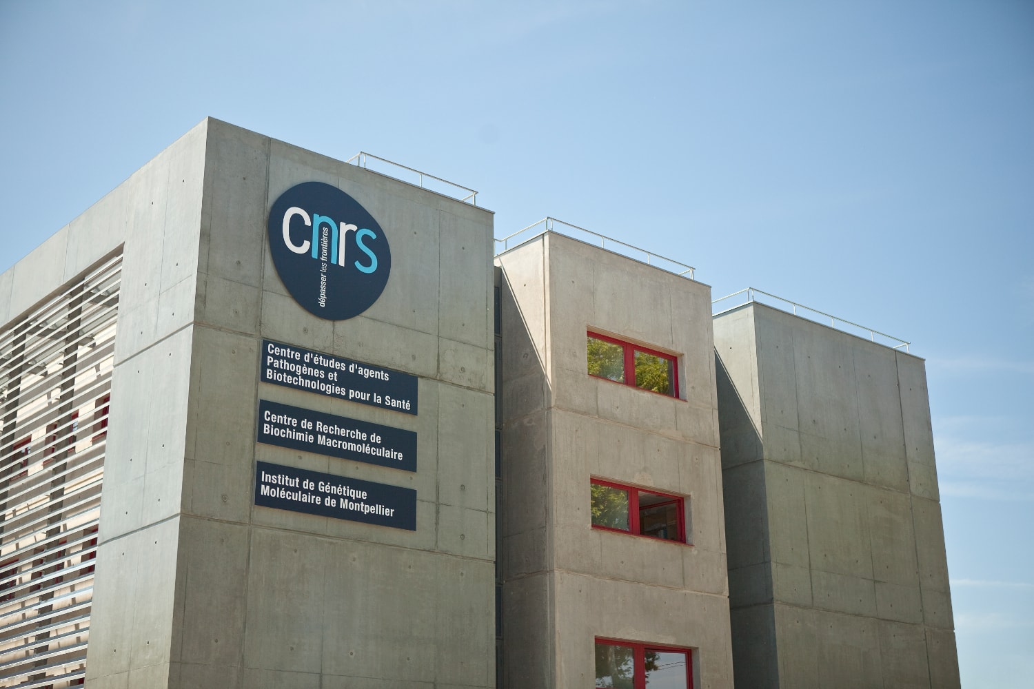 CNRS-min